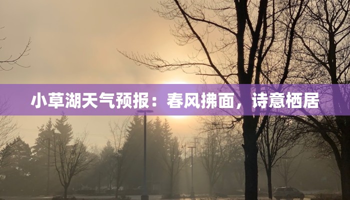 小草湖天气预报：春风拂面，诗意栖居