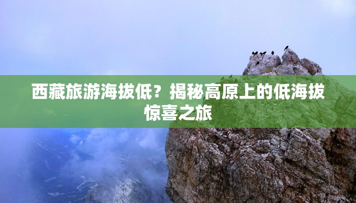 西藏旅游海拔低？揭秘高原上的低海拔惊喜之旅