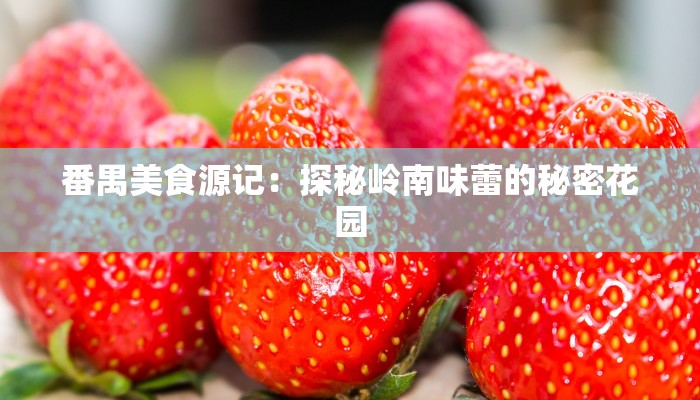番禺美食源记：探秘岭南味蕾的秘密花园