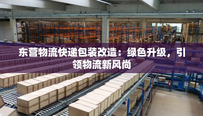 东营物流快递包装改造：绿色升级，引领物流新风尚