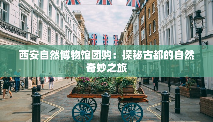 西安自然博物馆团购：探秘古都的自然奇妙之旅