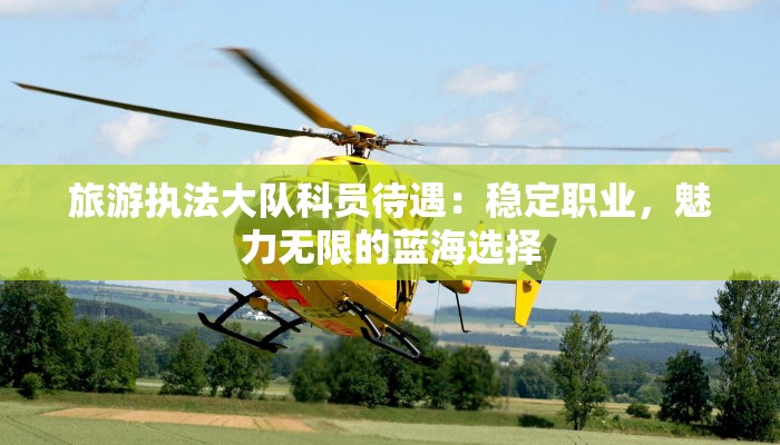 旅游执法大队科员待遇:稳定职业,魅力无限的蓝海选择 旅游执法大队科员待遇:稳定职业,魅力无限的蓝海选择