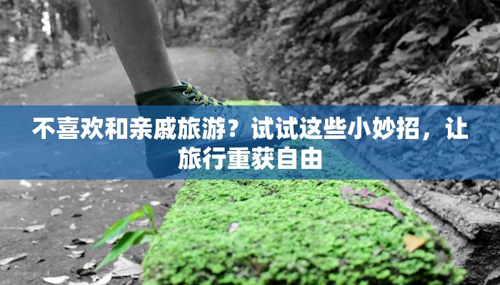 不喜欢和亲戚旅游？试试这些小妙招，让旅行重获自由