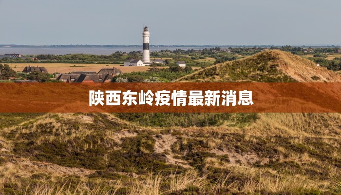 陕西东岭疫情最新消息 陕西东岭疫情最新消息