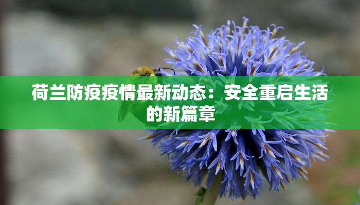 荷兰防疫疫情最新动态:安全重启生活的新篇章 荷兰防疫疫情最新动态:安全重启生活的新篇章