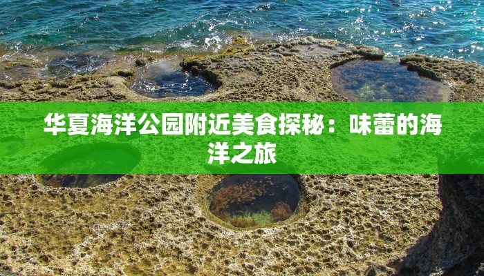 华夏海洋公园附近美食探秘:味蕾的海洋之旅 华夏海洋公园附近美食探秘:味蕾的海洋之旅