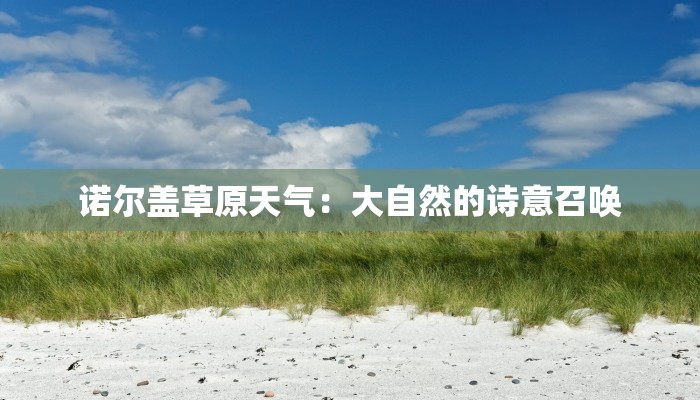 诺尔盖草原天气:大自然的诗意召唤 诺尔盖草原天气:大自然的诗意召唤