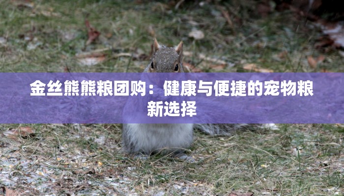 金丝熊熊粮团购:健康与便捷的宠物粮新选择 金丝熊熊粮团购:健康与便捷的宠物粮新选择