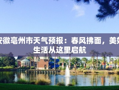 安徽亳州市天气预报：春风拂面，美好生活从这里启航