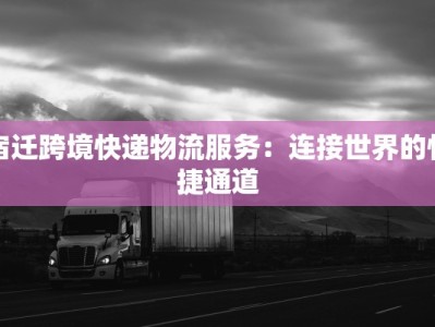 宿迁跨境快递物流服务：连接世界的快捷通道