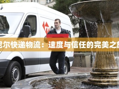 尼尔快递物流：速度与信任的完美之旅
