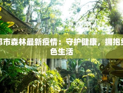 深圳以往疫情最新消息：回溯与启示