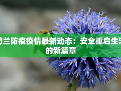 荷兰防疫疫情最新动态：安全重启生活的新篇章