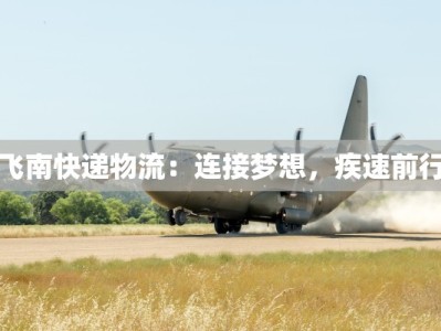 飞南快递物流：连接梦想，疾速前行