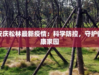 安庆松林最新疫情：科学防控，守护健康家园
