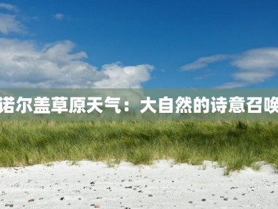 诺尔盖草原天气：大自然的诗意召唤