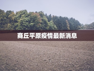 商丘平原疫情最新消息