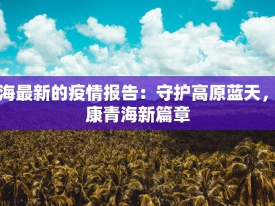 青海最新的疫情报告：守护高原蓝天，健康青海新篇章