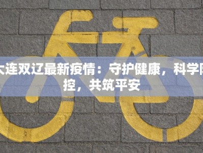 大连双辽最新疫情：守护健康，科学防控，共筑平安