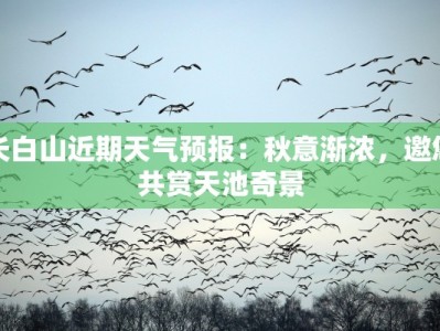 长白山近期天气预报：秋意渐浓，邀您共赏天池奇景