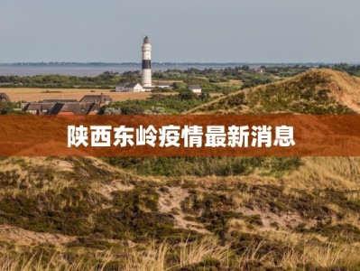 陕西东岭疫情最新消息