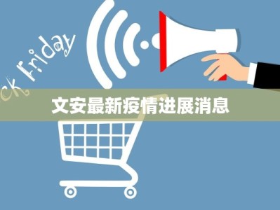 文安最新疫情进展消息