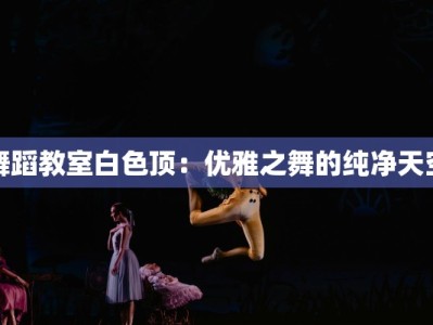 舞蹈教室白色顶：优雅之舞的纯净天空