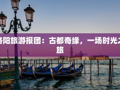 洛阳旅游报团：古都奇缘，一场时光之旅