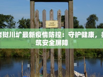 老挝川圹最新疫情防控：守护健康，共筑安全屏障