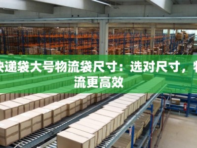 快递袋大号物流袋尺寸：选对尺寸，物流更高效