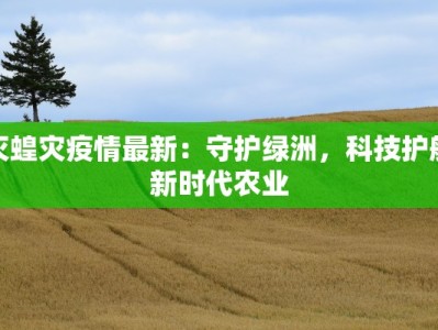 灭蝗灾疫情最新：守护绿洲，科技护航新时代农业