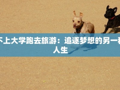 不上大学跑去旅游：追逐梦想的另一种人生