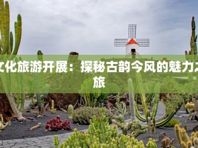 文化旅游开展：探秘古韵今风的魅力之旅