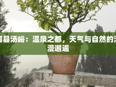 眉县汤峪：温泉之都，天气与自然的浪漫邂逅