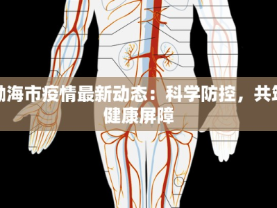 快递物流打包太累了？解锁高效打包秘籍，轻松变身物流达人！