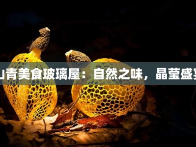 山青美食玻璃屋：自然之味，晶莹盛宴