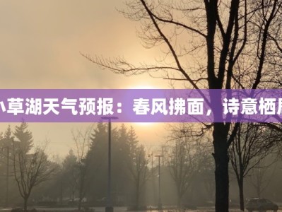 小草湖天气预报：春风拂面，诗意栖居