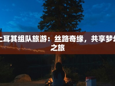 土耳其组队旅游：丝路奇缘，共享梦幻之旅