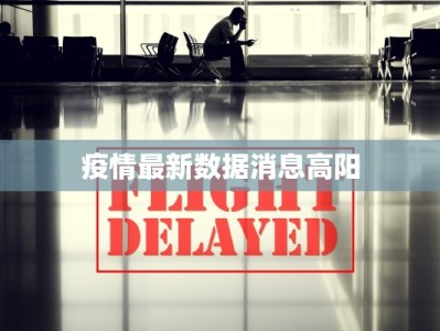 钦州物流快递驿站投诉：从不满到满意的转变之旅