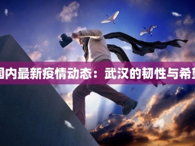 国内最新疫情动态：武汉的韧性与希望