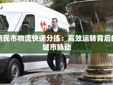 新民市物流快递分拣：高效运转背后的城市脉动