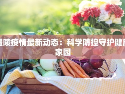 醴陵疫情最新动态：科学防控守护健康家园