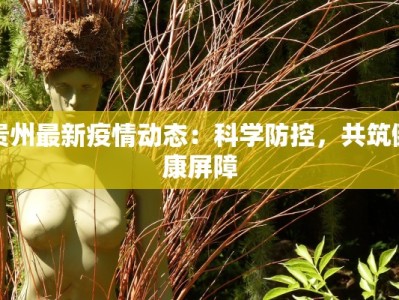 贵州最新疫情动态：科学防控，共筑健康屏障