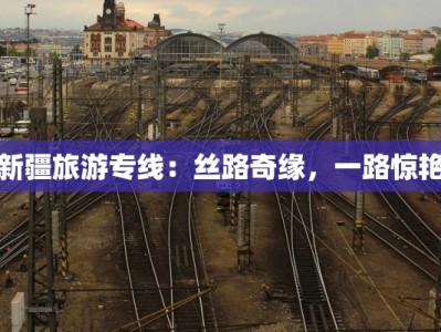 新疆旅游专线：丝路奇缘，一路惊艳