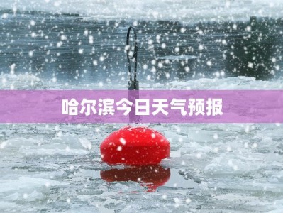 舞蹈披肩保暖：轻盈守护，舞动无限优雅