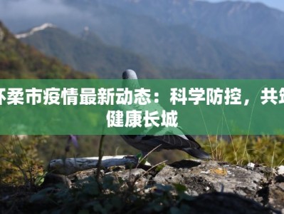 快递堆积物流异常：破解双11背后的“交通拥堵”谜题