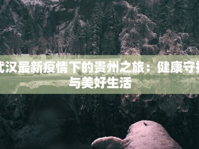 武汉最新疫情下的贵州之旅：健康守护与美好生活