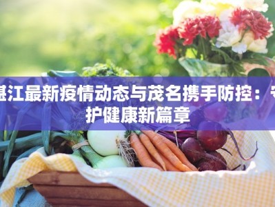 湛江最新疫情动态与茂名携手防控：守护健康新篇章
