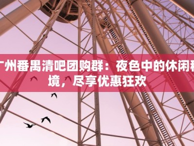 广州番禺清吧团购群：夜色中的休闲秘境，尽享优惠狂欢