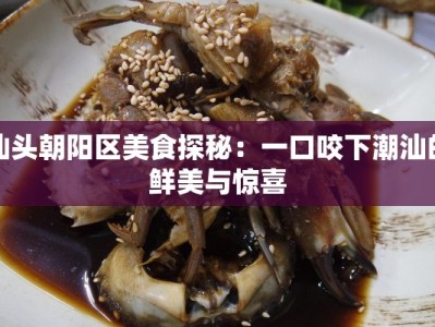 汕头朝阳区美食探秘：一口咬下潮汕的鲜美与惊喜